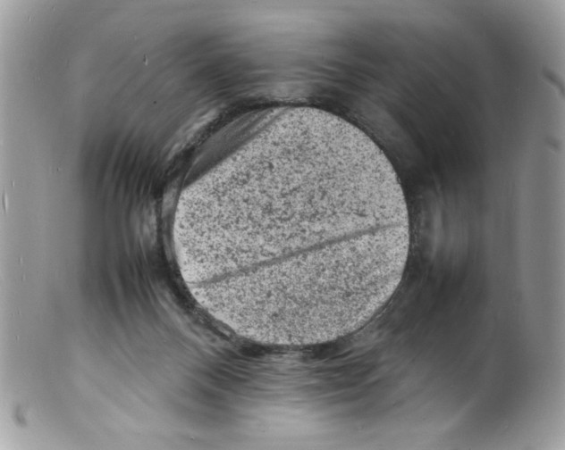 X0000098160120200805151238