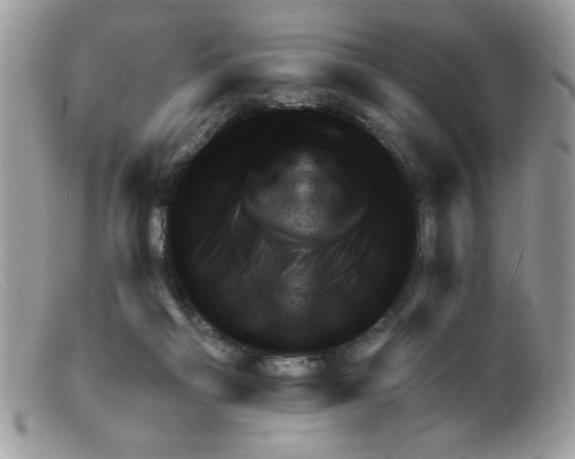 X0000098160121200805151238