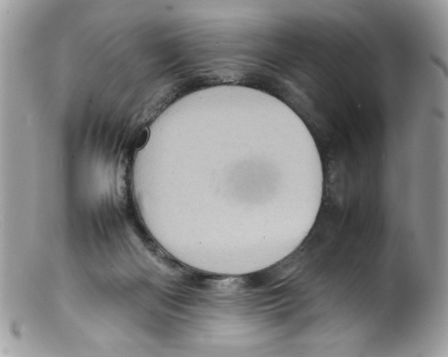 X0000098160122200805151238