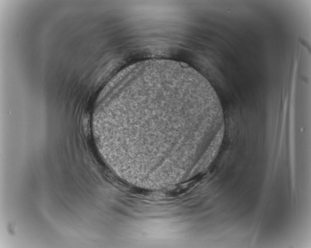 X0000098160123200805151238