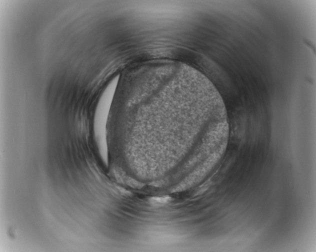 X0000098160124200805151238