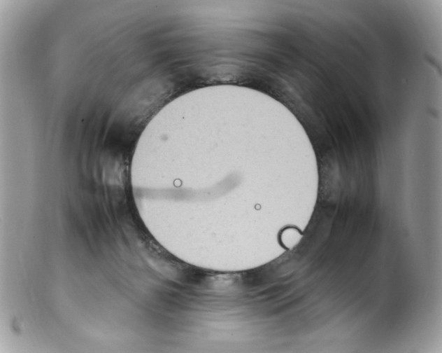 X0000098160126200805151238