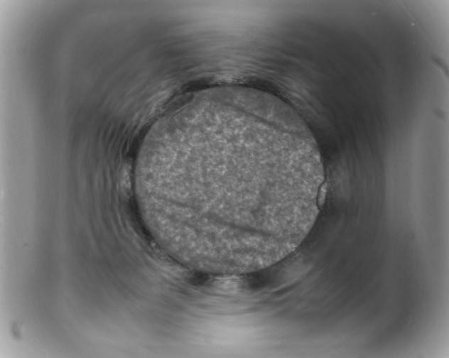 X0000098160127200805151238