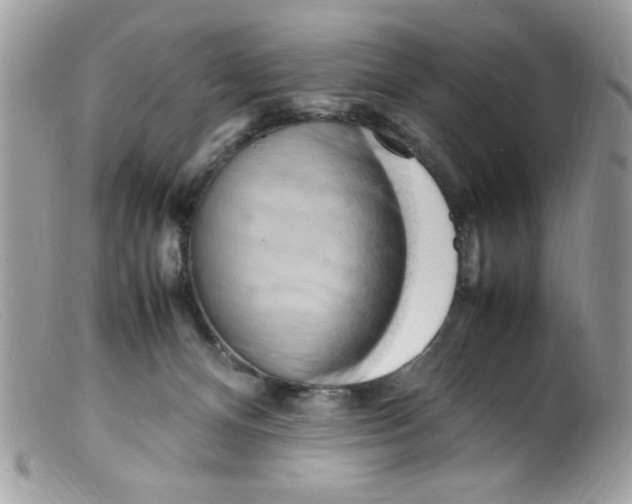 X0000098160128200805151238