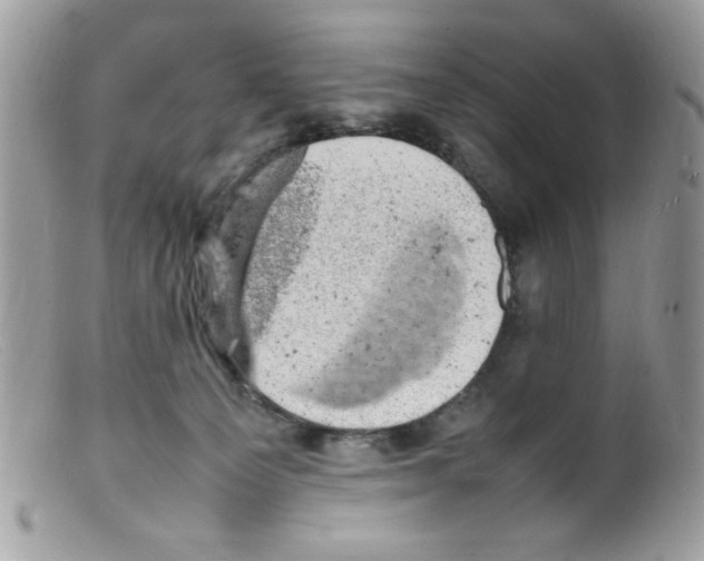 X0000098160129200805151238