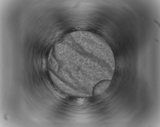 X0000098160130200805151238