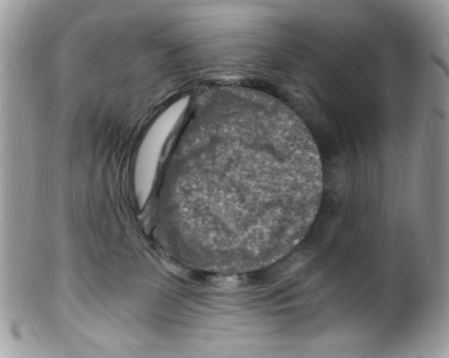 X0000098160131200805151238
