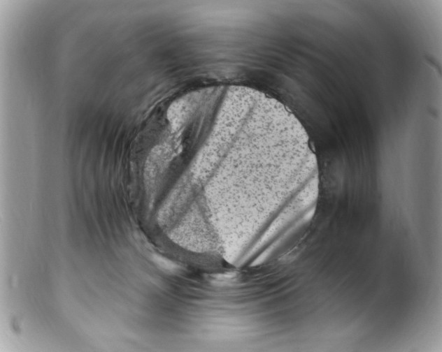 X0000098160132200805151238