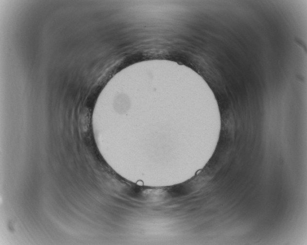 X0000098160133200805151238