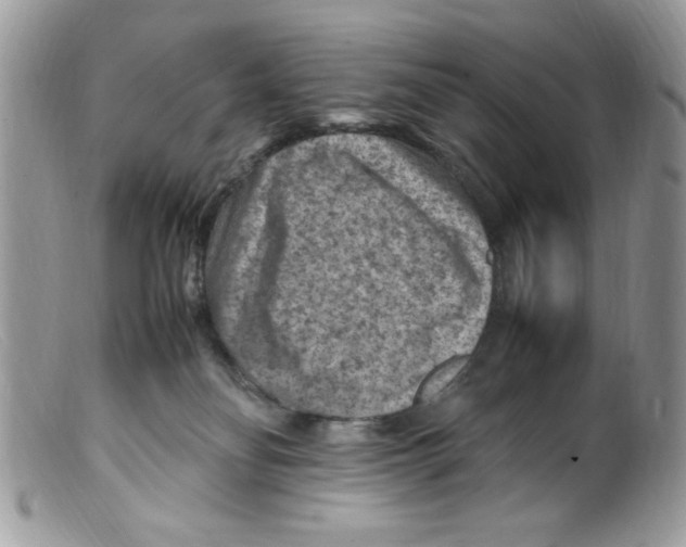 X0000098160134200805151238