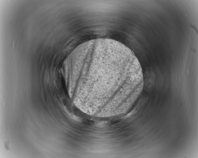 X0000098160136200805151238