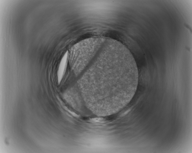 X0000098160137200805151238