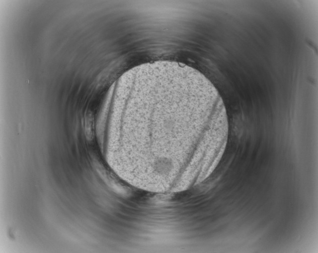 X0000098160138200805151238