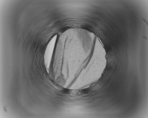 X0000098160141200805151238