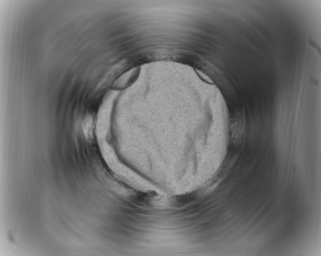 X0000098160142200805151238