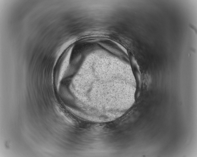 X0000098160148200805151237
