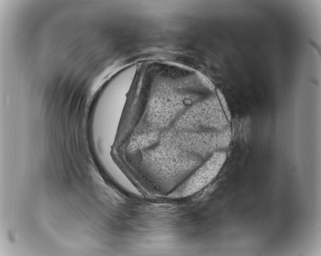 X0000098160150200805151237