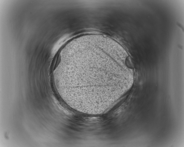 X0000098160151200805151237