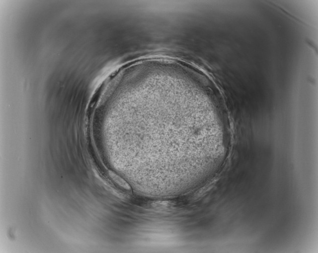 X0000098160152200805151237