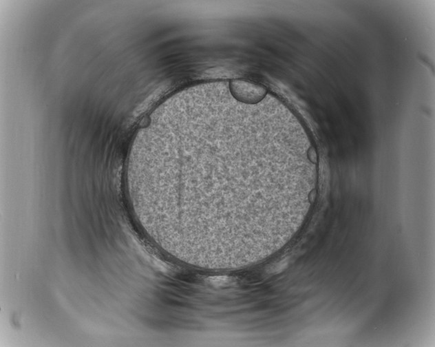 X0000098160153200805151237