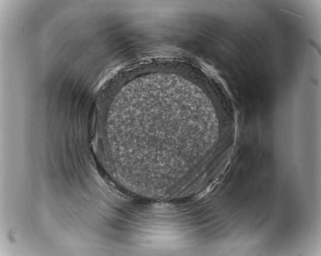 X0000098160154200805151237