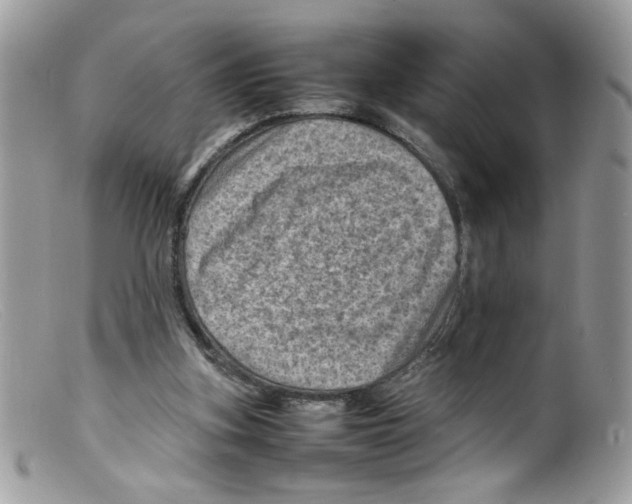 X0000098160155200805151237
