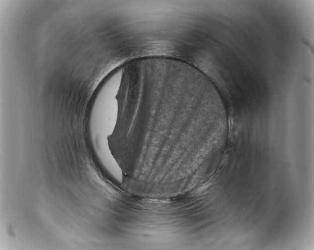 X0000098160156200805151237