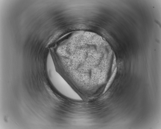 X0000098160158200805151237