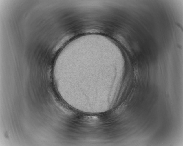 X0000098160159200805151237