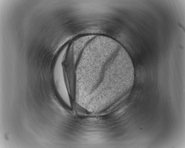 X0000098160160200805151237