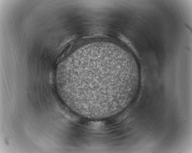 X0000098160161200805151237