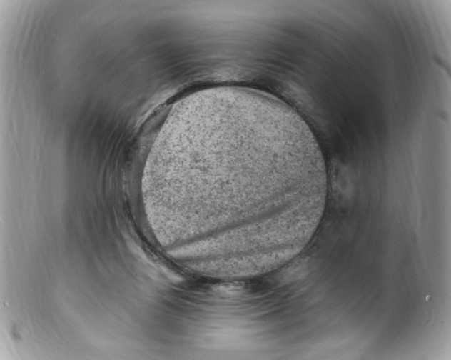 X0000098160164200805151237