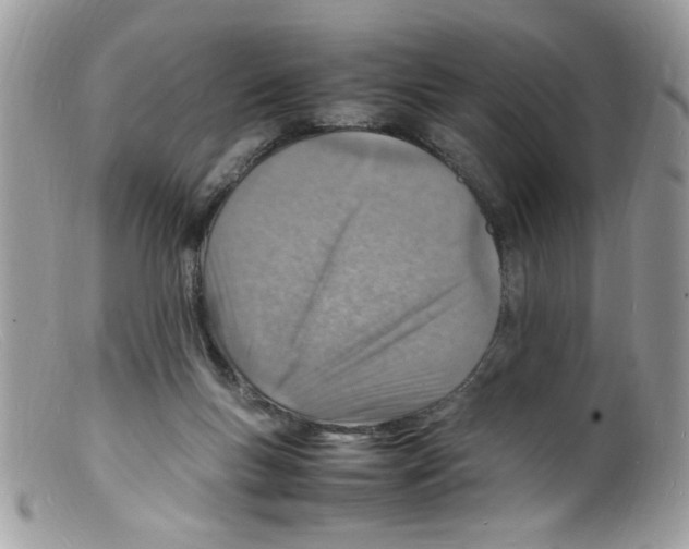 X0000098160167200805151237