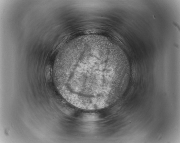 X0000098160169200805151237