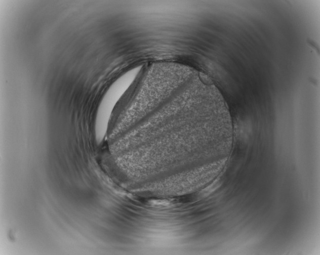 X0000098160170200805151237