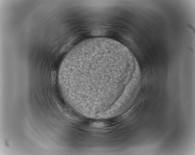 X0000098160171200805151237