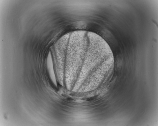 X0000098160172200805151237