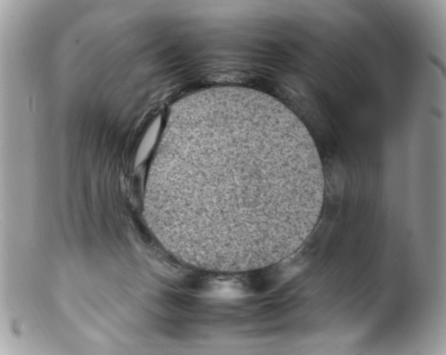 X0000098160175200805151237