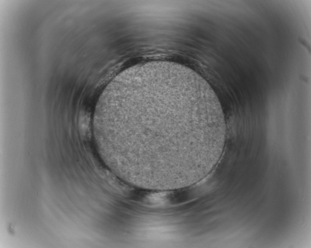 X0000098160178200805151237