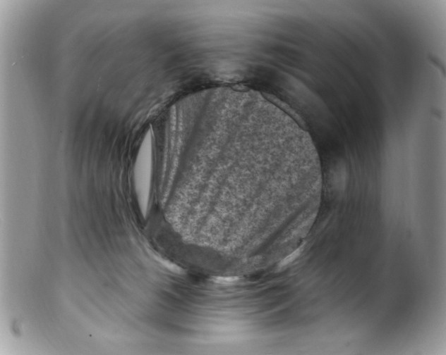 X0000098160180200805151237