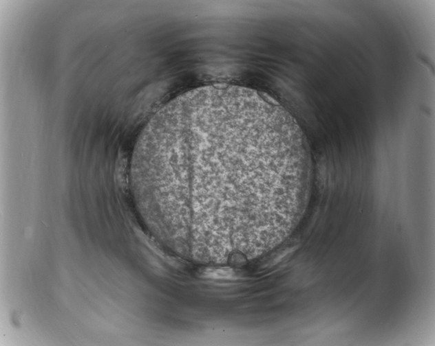 X0000098160181200805151237