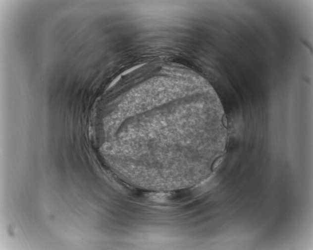 X0000098160182200805151237
