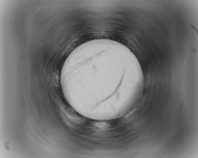 X0000098160183200805151237