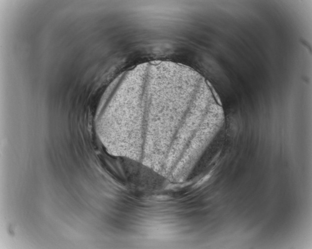 X0000098160184200805151237