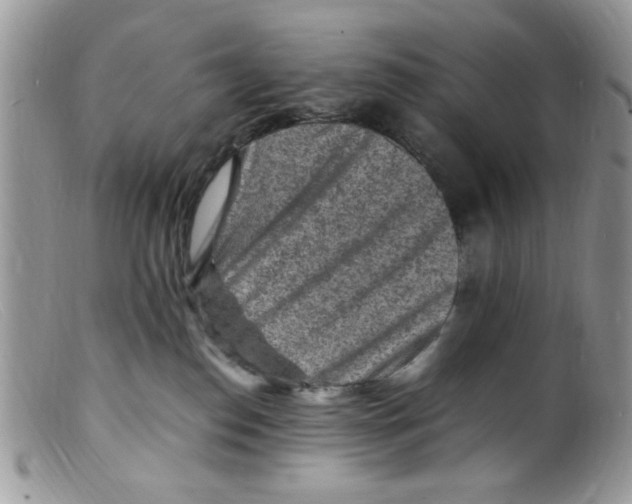 X0000098160186200805151238