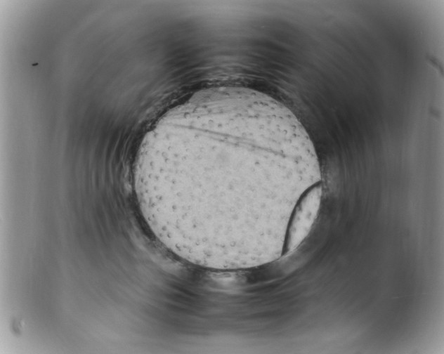 X0000098160187200805151238