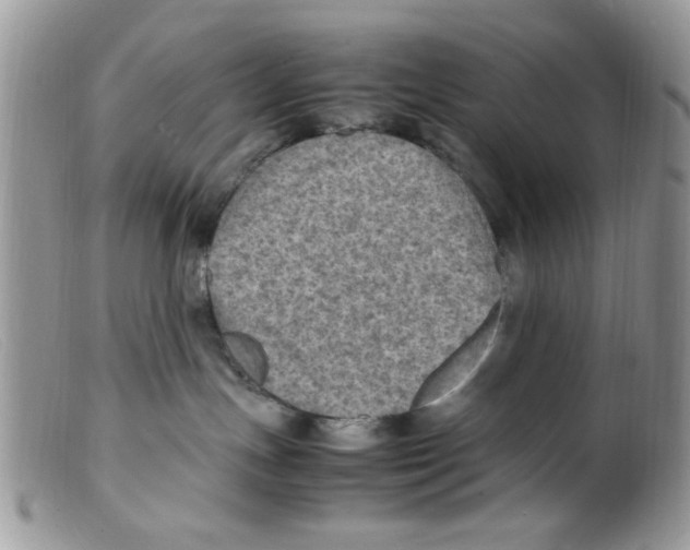 X0000098160191200805151238