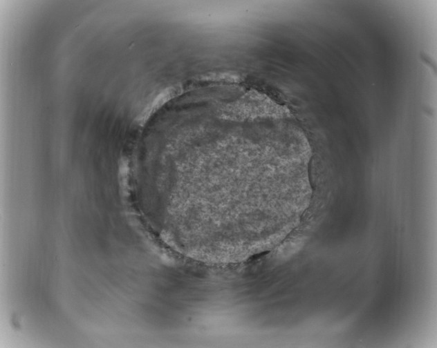 X0000098160192200805151238
