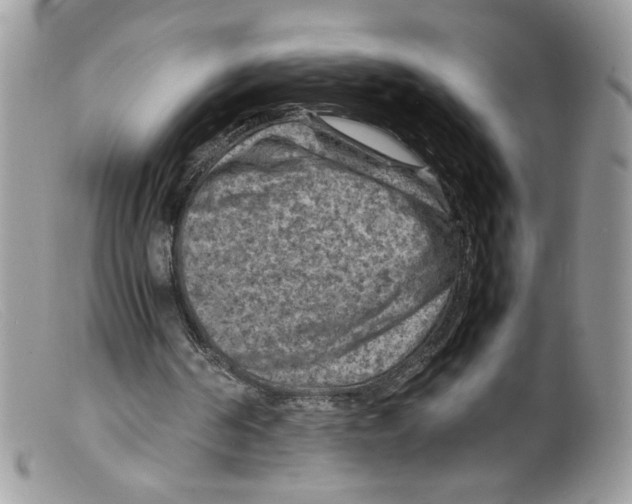 X0000098160194200805151237