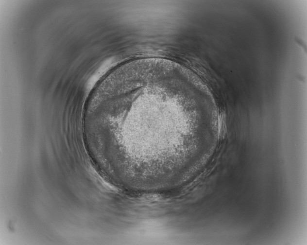 X0000098160195200805151237